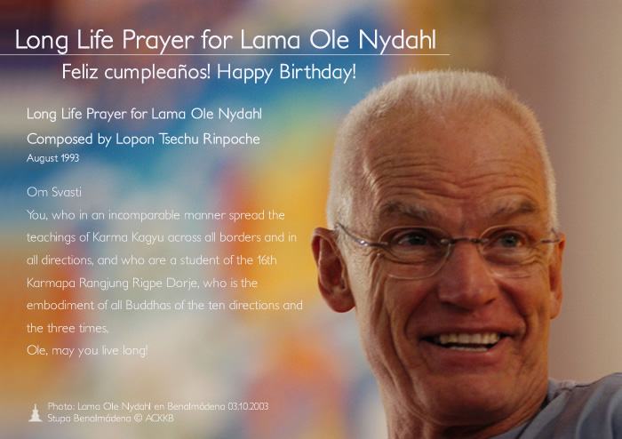 Happy Birthday Lama Ole!