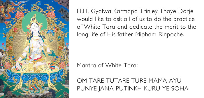 Gyalwa Karmapa ask for Mantra of White Tara